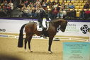 Filename=PT9_4365.JPG
Filesize=526KiB
Dimensions=1224x817
Date added=Oct 23, 2023 PT9_4365.JPG