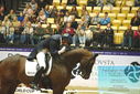 Filename=PT9_4366.JPG
Filesize=434KiB
Dimensions=1224x817
Date added=Oct 23, 2023 PT9_4366.JPG