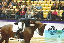 Filename=PT9_4367.JPG
Filesize=452KiB
Dimensions=1224x817
Date added=Oct 23, 2023 PT9_4367.JPG