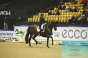 Filename=PT9_4373.JPG
Filesize=469KiB
Dimensions=1224x817
Date added=Oct 23, 2023 PT9_4373.JPG