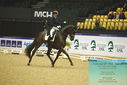 Filename=PT9_4376.JPG
Filesize=429KiB
Dimensions=1224x817
Date added=Oct 23, 2023 PT9_4376.JPG