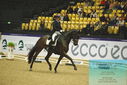 Filename=PT9_4377.JPG
Filesize=449KiB
Dimensions=1224x817
Date added=Oct 23, 2023 PT9_4377.JPG