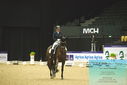 Filename=PT9_4380.JPG
Filesize=409KiB
Dimensions=1224x817
Date added=Oct 23, 2023 PT9_4380.JPG