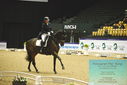 Filename=PT9_4387.JPG
Filesize=435KiB
Dimensions=1224x817
Date added=Oct 23, 2023 PT9_4387.JPG