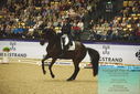 Filename=PT9_4389.JPG
Filesize=539KiB
Dimensions=1224x817
Date added=Oct 23, 2023 PT9_4389.JPG