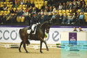 Filename=PT9_4392.JPG
Filesize=516KiB
Dimensions=1224x817
Date added=Oct 23, 2023 PT9_4392.JPG