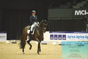 Filename=PT9_4395.JPG
Filesize=415KiB
Dimensions=1224x817
Date added=Oct 23, 2023 PT9_4395.JPG