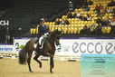 Filename=PT9_4398.JPG
Filesize=479KiB
Dimensions=1224x817
Date added=Oct 23, 2023 PT9_4398.JPG