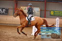 Filename=PT9_4498.JPG
Filesize=450KiB
Dimensions=1224x817
Date added=Feb 11, 2024 PT9_4498.JPG