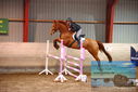 Filename=PT9_4499.JPG
Filesize=397KiB
Dimensions=1224x817
Date added=Feb 11, 2024 PT9_4499.JPG
