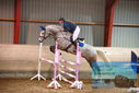 Filename=PT9_4534.JPG
Filesize=429KiB
Dimensions=1224x817
Date added=Feb 11, 2024 PT9_4534.JPG