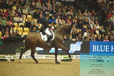 09 ECCO CDI5Grand Prix Special (GPS) - ECCO FIVE STAR DRESSAGE
Keywords: anna kasparcack;rock star 13
