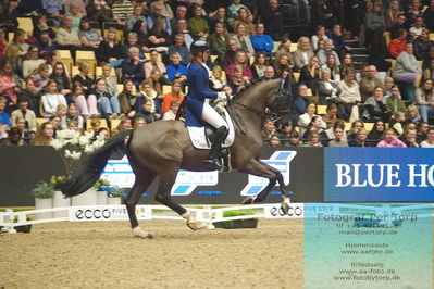 09 ECCO CDI5Grand Prix Special (GPS) - ECCO FIVE STAR DRESSAGE
Keywords: karen nijvelt;nijvelt