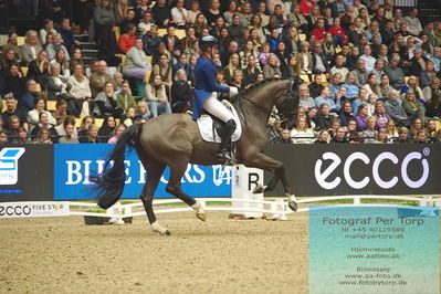 09 ECCO CDI5Grand Prix Special (GPS) - ECCO FIVE STAR DRESSAGE
Keywords: karen nijvelt;nijvelt