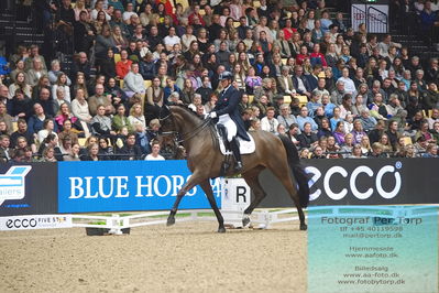 09 ECCO CDI5Grand Prix Special (GPS) - ECCO FIVE STAR DRESSAGE
Keywords: lone bang zindorff;thranegaardens rostov