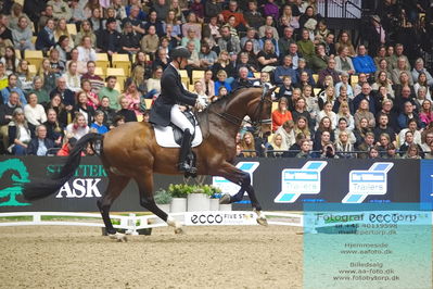 09 ECCO CDI5Grand Prix Special (GPS) - ECCO FIVE STAR DRESSAGE
Keywords: daniel bachmann andersen;vayron