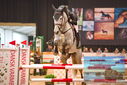 Filename=PT9_4821.JPG
Filesize=420KiB
Dimensions=1224x817
Date added=Mar 07, 2024 PT9_4821.JPG