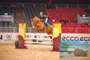 Filename=PT9_4839.JPG
Filesize=482KiB
Dimensions=1224x817
Date added=Mar 07, 2024 PT9_4839.JPG