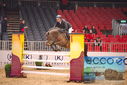 Filename=PT9_4850.JPG
Filesize=465KiB
Dimensions=1224x817
Date added=Mar 07, 2024 PT9_4850.JPG