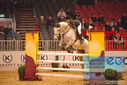 Filename=PT9_4893.JPG
Filesize=436KiB
Dimensions=1224x817
Date added=Mar 07, 2024 PT9_4893.JPG