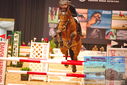 Filename=PT9_4900.JPG
Filesize=473KiB
Dimensions=1224x817
Date added=Mar 07, 2024 PT9_4900.JPG