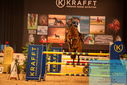 Filename=PT9_5450.JPG
Filesize=487KiB
Dimensions=1224x817
Date added=Mar 07, 2024 PT9_5450.JPG