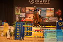 Filename=PT9_5451.JPG
Filesize=489KiB
Dimensions=1224x817
Date added=Mar 07, 2024 PT9_5451.JPG