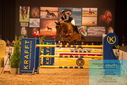 Filename=PT9_5820.JPG
Filesize=494KiB
Dimensions=1224x817
Date added=Mar 07, 2024 PT9_5820.JPG