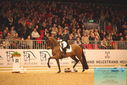 Filename=PT9_6351.JPG
Filesize=466KiB
Dimensions=1224x817
Date added=Mar 08, 2024 PT9_6351.JPG