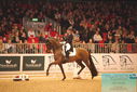 Filename=PT9_6353.JPG
Filesize=437KiB
Dimensions=1224x817
Date added=Mar 08, 2024 PT9_6353.JPG