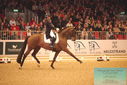 Filename=PT9_6357.JPG
Filesize=448KiB
Dimensions=1224x817
Date added=Mar 08, 2024 PT9_6357.JPG