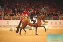 Filename=PT9_6359.JPG
Filesize=458KiB
Dimensions=1224x817
Date added=Mar 08, 2024 PT9_6359.JPG