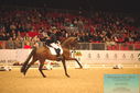 Filename=PT9_6366.JPG
Filesize=419KiB
Dimensions=1224x817
Date added=Mar 08, 2024 PT9_6366.JPG