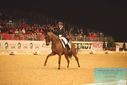 Filename=PT9_6367.JPG
Filesize=413KiB
Dimensions=1224x817
Date added=Mar 08, 2024 PT9_6367.JPG