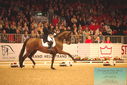 Filename=PT9_6370.JPG
Filesize=456KiB
Dimensions=1224x817
Date added=Mar 08, 2024 PT9_6370.JPG