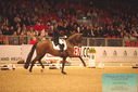 Filename=PT9_6371.JPG
Filesize=463KiB
Dimensions=1224x817
Date added=Mar 08, 2024 PT9_6371.JPG