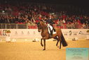 Filename=PT9_6373.JPG
Filesize=449KiB
Dimensions=1224x817
Date added=Mar 08, 2024 PT9_6373.JPG