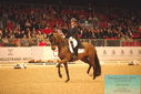 Filename=PT9_6375.JPG
Filesize=469KiB
Dimensions=1224x817
Date added=Mar 08, 2024 PT9_6375.JPG