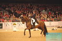 Filename=PT9_6377.JPG
Filesize=465KiB
Dimensions=1224x817
Date added=Mar 08, 2024 PT9_6377.JPG