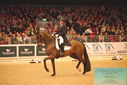 Filename=PT9_6378.JPG
Filesize=498KiB
Dimensions=1224x817
Date added=Mar 08, 2024 PT9_6378.JPG