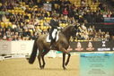Filename=PT9_7577.JPG
Filesize=421KiB
Dimensions=1224x817
Date added=Mar 11, 2024 PT9_7577.JPG