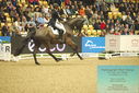 Filename=PT9_7589.JPG
Filesize=440KiB
Dimensions=1224x817
Date added=Mar 11, 2024 PT9_7589.JPG