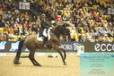 Filename=PT9_7592.JPG
Filesize=524KiB
Dimensions=1224x817
Date added=Mar 11, 2024 PT9_7592.JPG