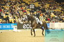 Filename=PT9_7597.JPG
Filesize=506KiB
Dimensions=1224x817
Date added=Mar 11, 2024 PT9_7597.JPG