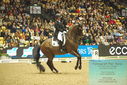 Filename=PT9_7716.JPG
Filesize=519KiB
Dimensions=1224x817
Date added=Mar 11, 2024 PT9_7716.JPG