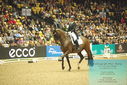 Filename=PT9_7719.JPG
Filesize=502KiB
Dimensions=1224x817
Date added=Mar 11, 2024 PT9_7719.JPG