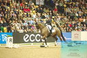 Filename=PT9_7735.JPG
Filesize=475KiB
Dimensions=1224x817
Date added=Mar 11, 2024 PT9_7735.JPG