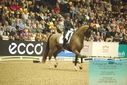 Filename=PT9_7744.JPG
Filesize=447KiB
Dimensions=1224x817
Date added=Mar 11, 2024 PT9_7744.JPG