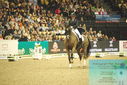 Filename=PT9_7750.JPG
Filesize=428KiB
Dimensions=1224x817
Date added=Mar 11, 2024 PT9_7750.JPG