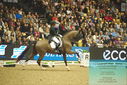 Filename=PT9_7757.JPG
Filesize=429KiB
Dimensions=1224x817
Date added=Mar 11, 2024 PT9_7757.JPG
